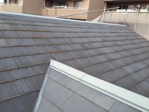 刈谷市 B様邸 屋根塗装 遮熱シリコンコース施工前3