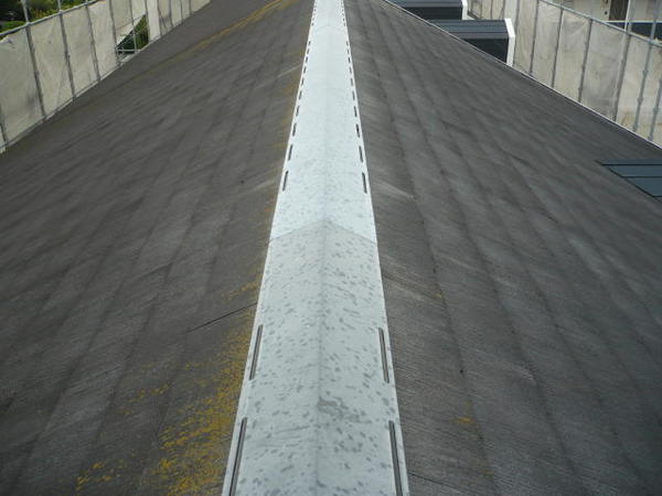西尾市 Ｊアパート H棟 外壁塗装 屋根塗装 シリコンコース屋根施工前1