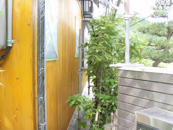 豊田市　Ｍ様邸　戸建　外壁塗装　木部塗装　ランバーガード下塗り完了