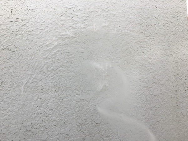 知立市 P様邸 外壁フッソコース　外壁塗装　バイオ洗浄液塗布