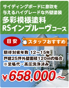 大差模様塗料RSインプルーヴコース