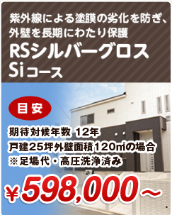 RSシルバーグロスSiコース